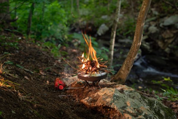 Twiggy fire on stove Alpine model